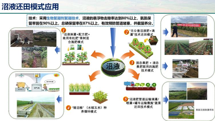 &ldquo;首席專家談農技&rdquo;技術展示(1)_05