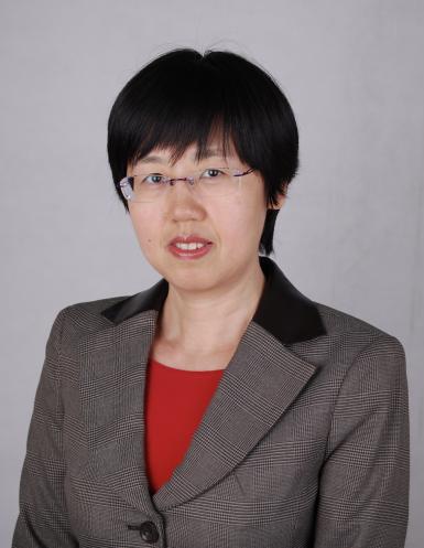 Prof. Zheng Yan